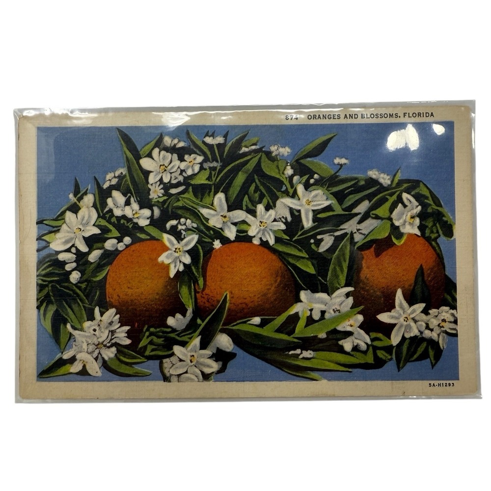 Vintage Linen Postcard Florida‎ Oranges and Flower Blossoms Curt Teich